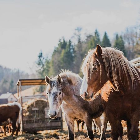 Farm Stay Zurej Šentjur Exteriör bild