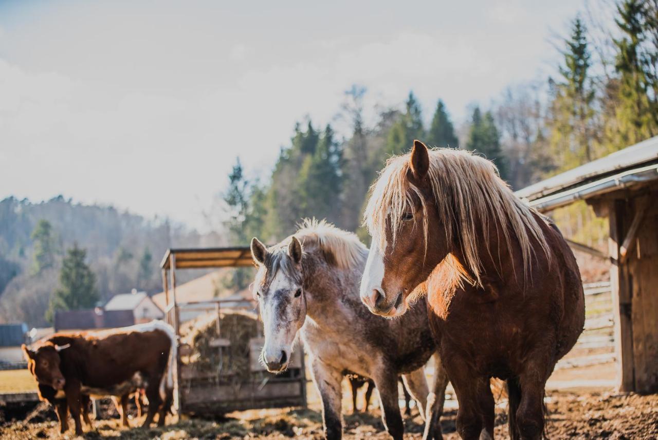 Farm Stay Zurej Šentjur Exteriör bild