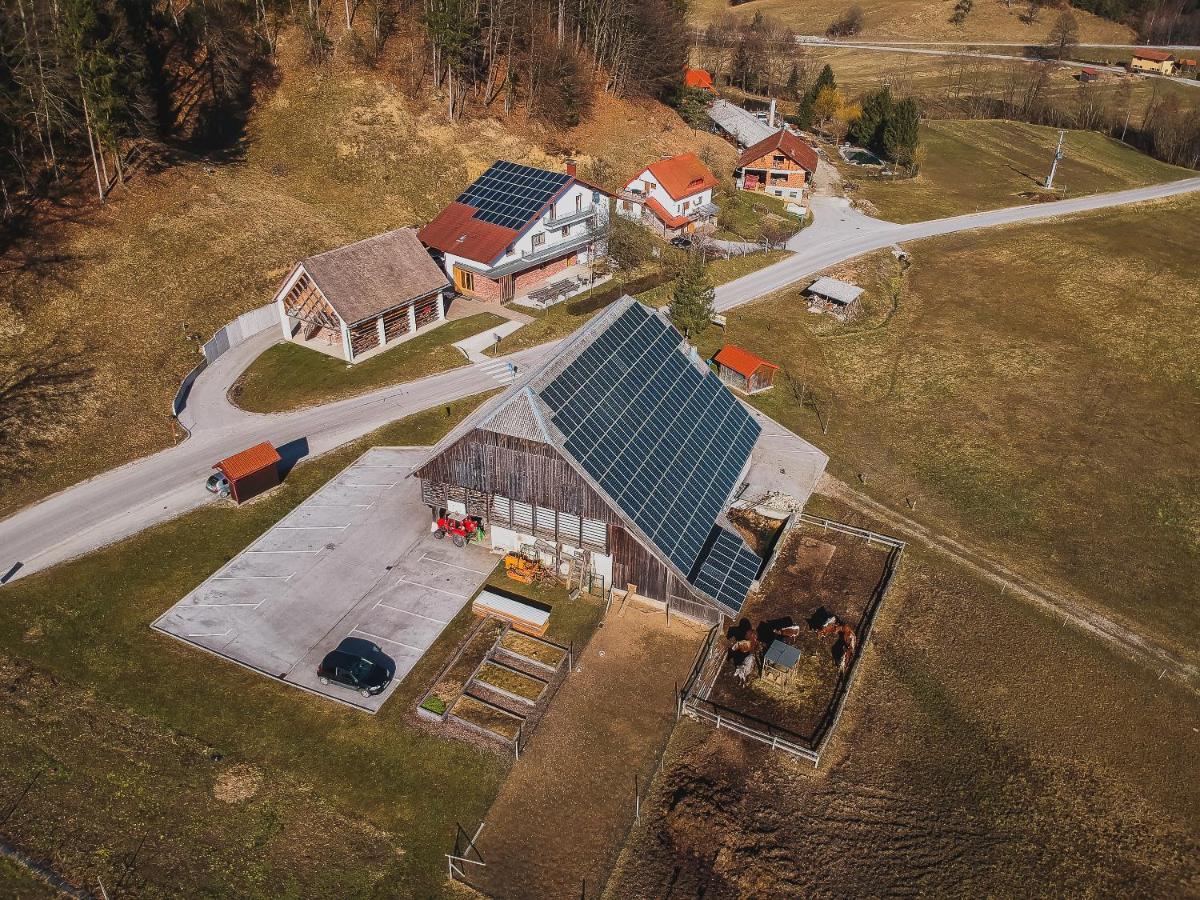 Farm Stay Zurej Šentjur Exteriör bild