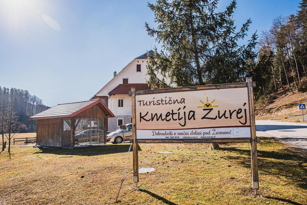 Farm Stay Zurej Šentjur Exteriör bild