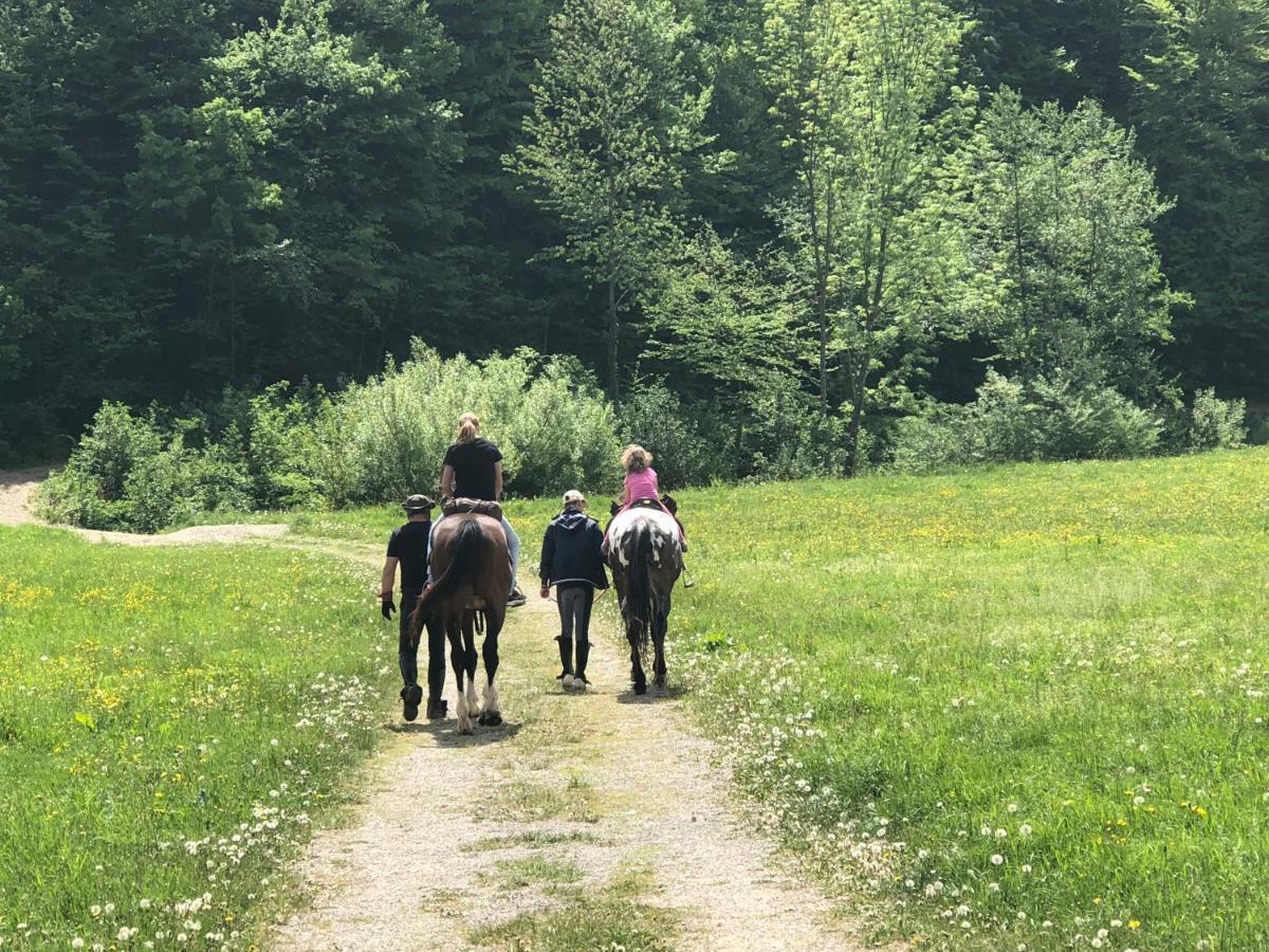 Farm Stay Zurej Šentjur Exteriör bild